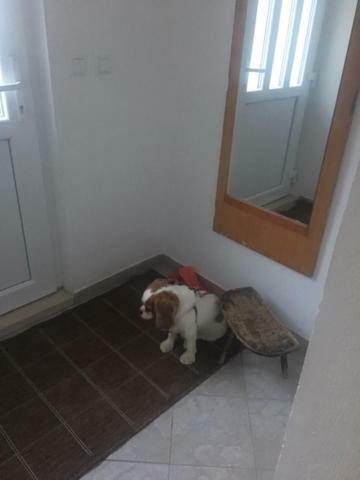 Holiday Home Gandalj_2 Lokva Rogoznica Zewnętrze zdjęcie